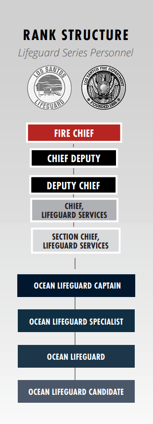 救生员等级结构